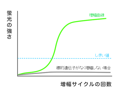 増幅曲線