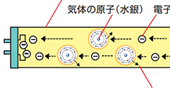 文部科学省の放射線ガイドの紹介