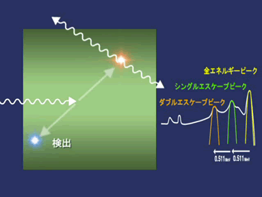 ダブルエスケープピーク